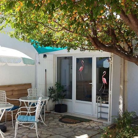 Le Flamant Rose Bed & Breakfast Salin-de-Giraud Dış mekan fotoğraf