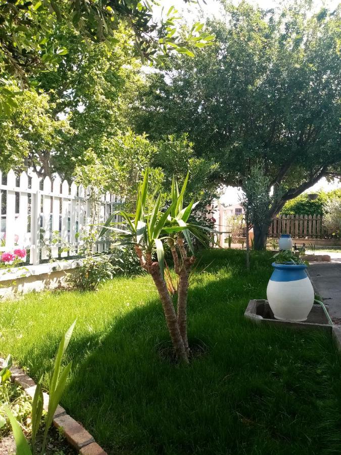 Le Flamant Rose Bed & Breakfast Salin-de-Giraud Dış mekan fotoğraf