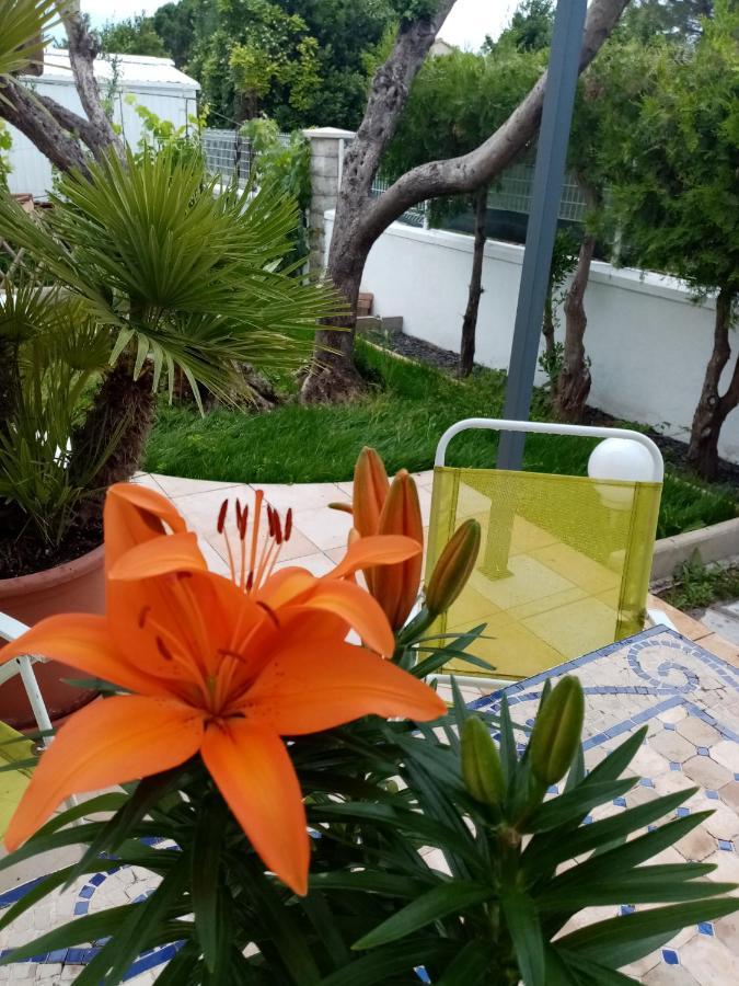 Le Flamant Rose Bed & Breakfast Salin-de-Giraud Dış mekan fotoğraf