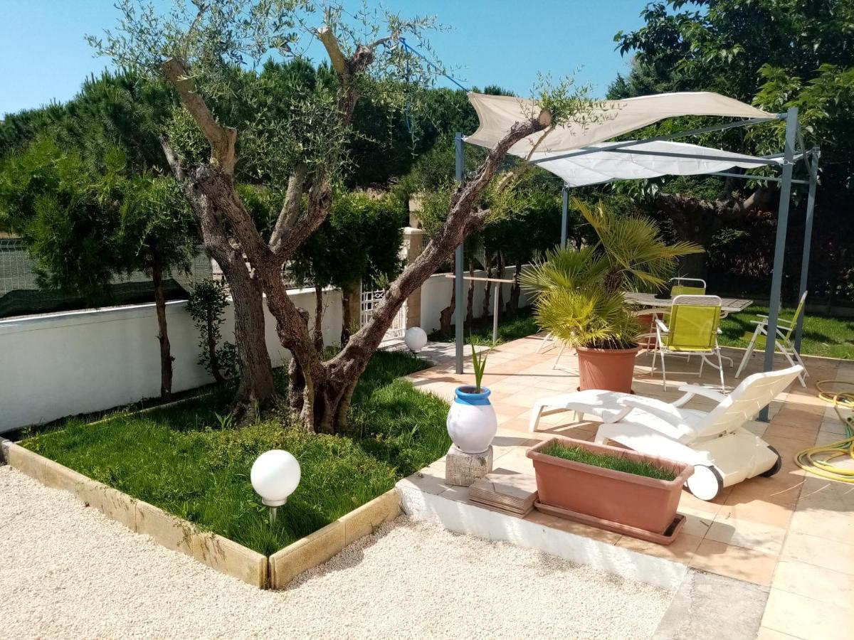 Le Flamant Rose Bed & Breakfast Salin-de-Giraud Dış mekan fotoğraf