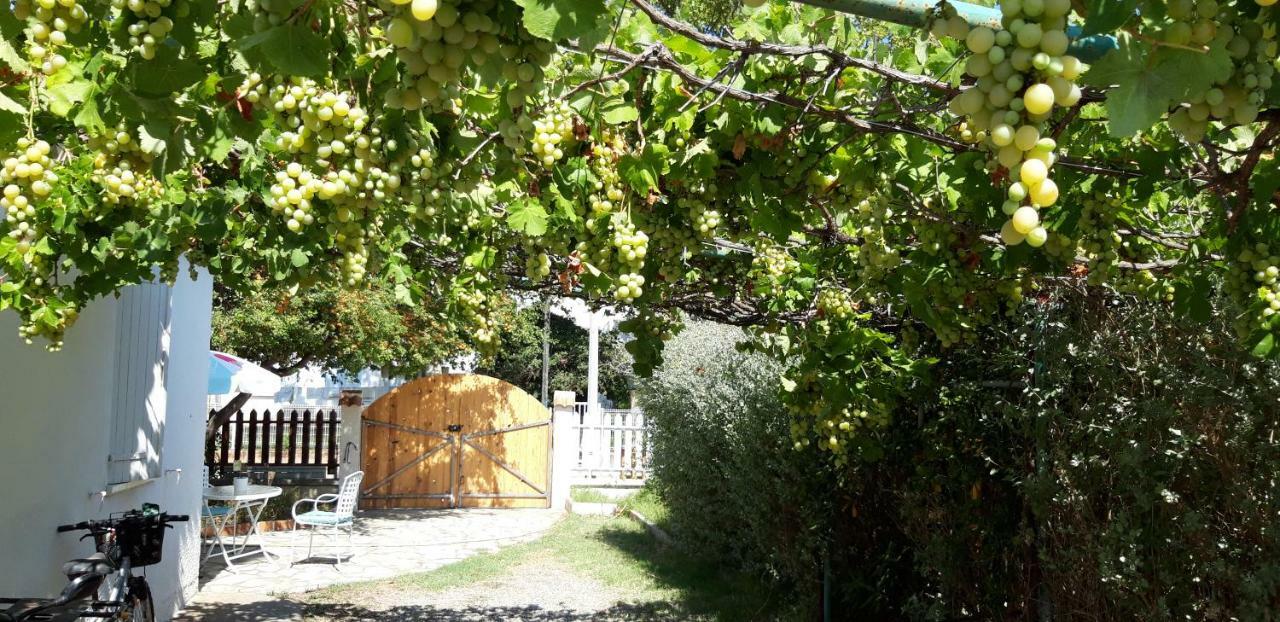 Le Flamant Rose Bed & Breakfast Salin-de-Giraud Dış mekan fotoğraf
