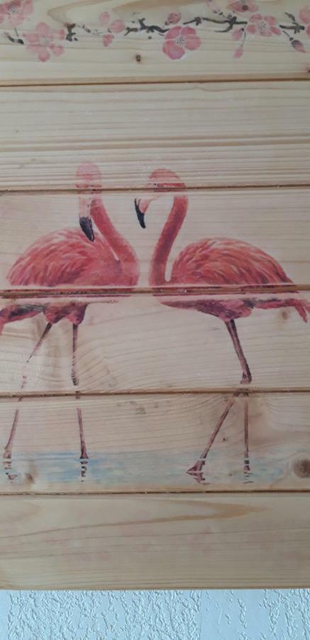 Le Flamant Rose Bed & Breakfast Salin-de-Giraud Dış mekan fotoğraf
